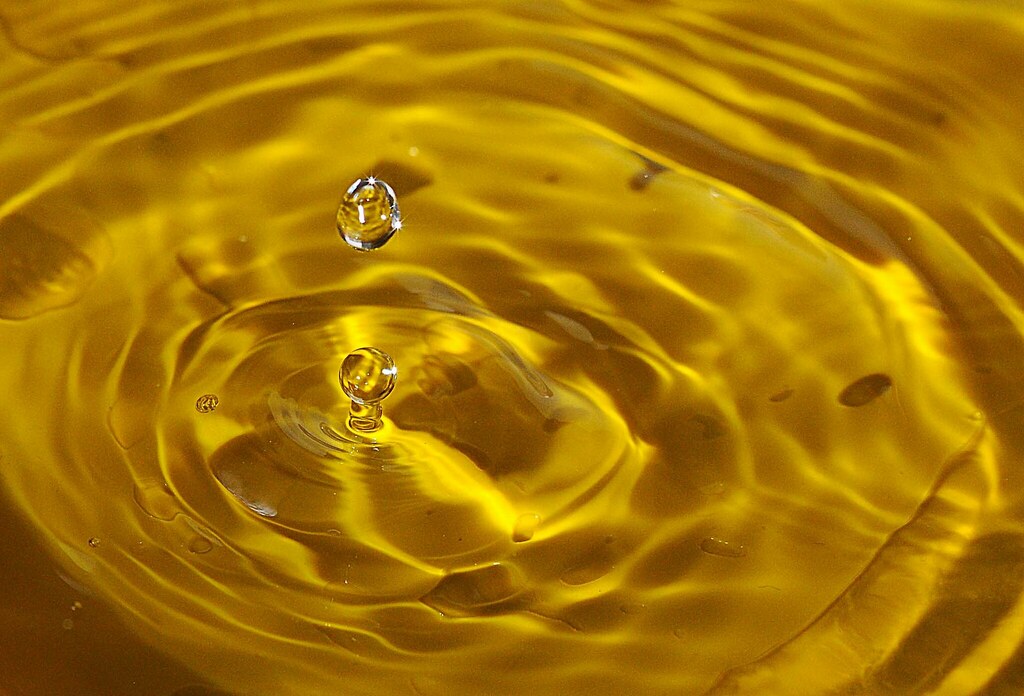 ਵਿਗਿਆਨ ਅਤੇ ਤਕਨੀਕ ਦਾ ਭਵਿੱਖ